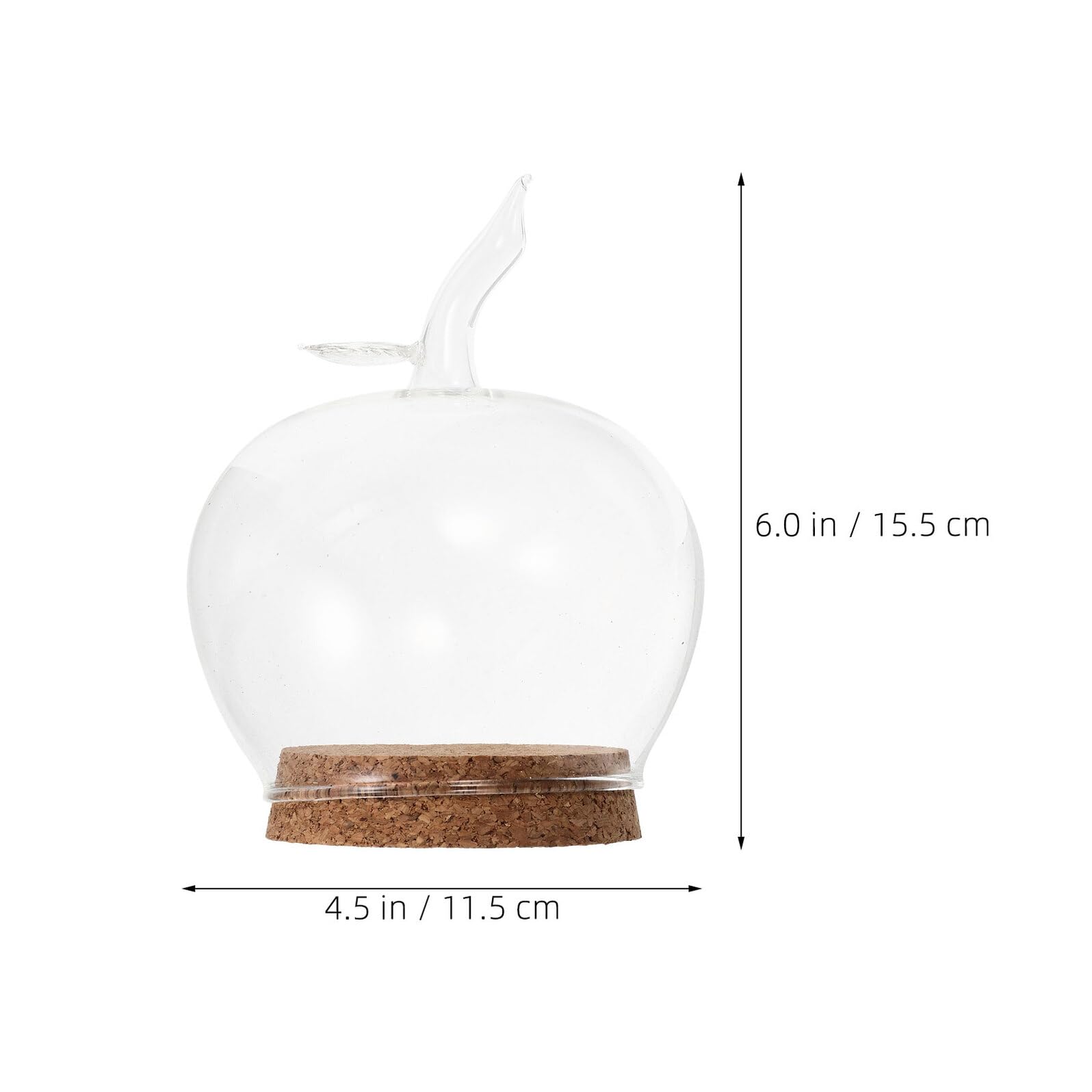 Amazon.co.jp: JUMPLAWN 透明リンゴ型ガラスドーム 花用ガラスケース